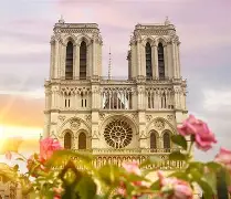 德国杯杯赛程表